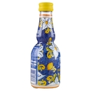 Giancarlo Polenghi Lemondor Puro Succo di Limone di Sicilia 250 ml