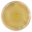 Giancarlo Polenghi Lemondor Puro Succo di Limone di Sicilia 250 ml
