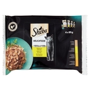 Sheba Delicatezze Cibo Umido Gatto in Gelatina Selezione Delicata 4 x 85 g