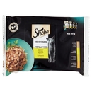 Sheba Delicatezze Cibo Umido Gatto in Gelatina Selezione Delicata 4 x 85 g