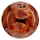 Delicius Filetti di Alici arrotolati in olio di oliva (43%) 90 g