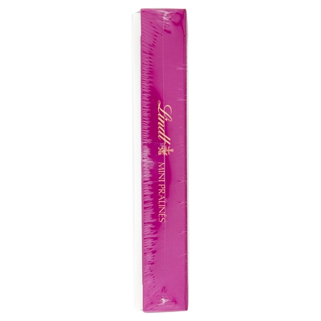 Lindt Mini Praline Cioccolatini assortiti Scatola 100 g