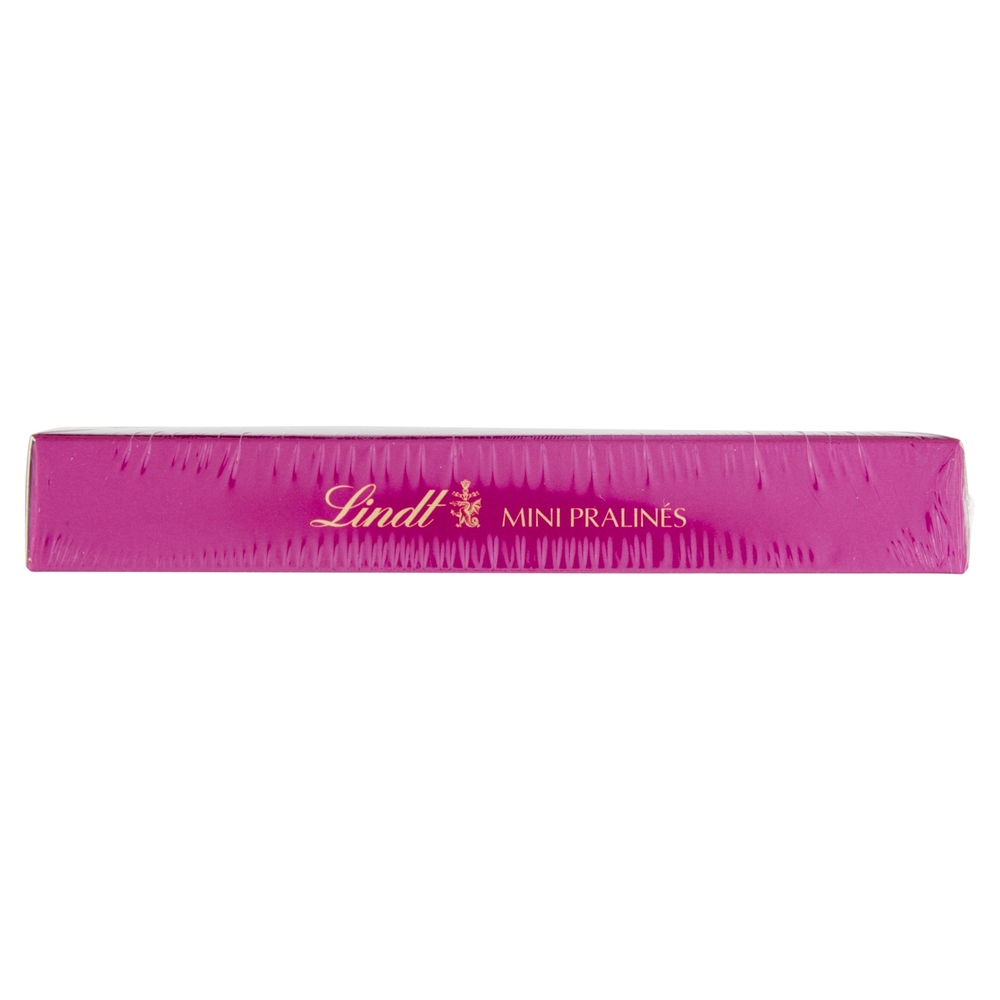 Lindt Mini Praline Cioccolatini assortiti Scatola 100 g