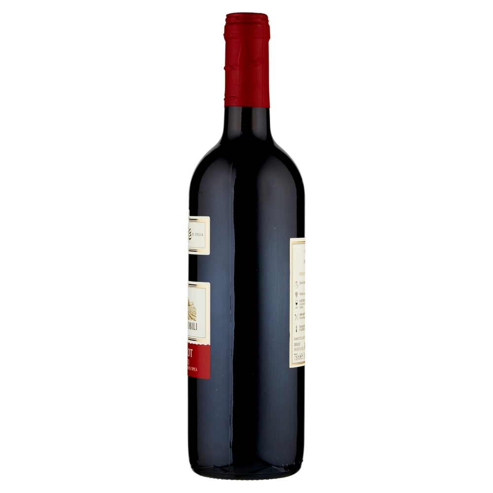 Merlot Veneto IGT
