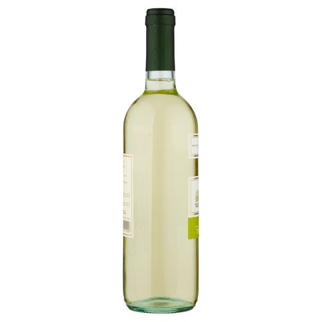 Trebbiano Rubicone IGT