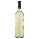 Trebbiano Rubicone IGT
