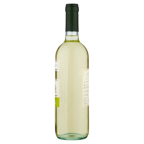 Trebbiano Rubicone IGT