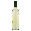 Trebbiano Rubicone IGT