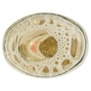 Keglevich Wodka & Fruit Pesca 0,7 L