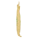 Mental bio Caramelle Biologiche Zenzero Limone 90 g