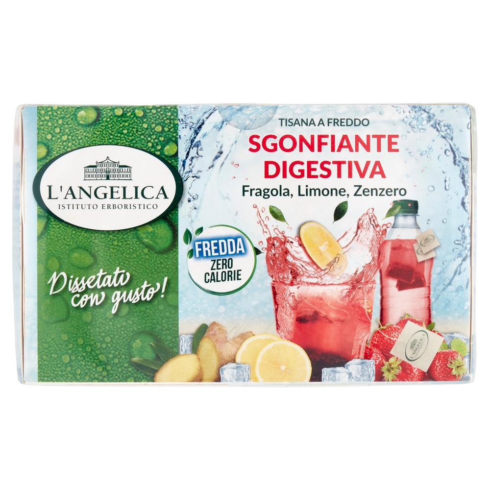 L'Angelica Tisana a Freddo Sgonfiante Digestiva 18 Filtri 39.6 g
