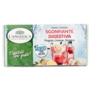 L'Angelica Tisana a Freddo Sgonfiante Digestiva 18 Filtri 39.6 g