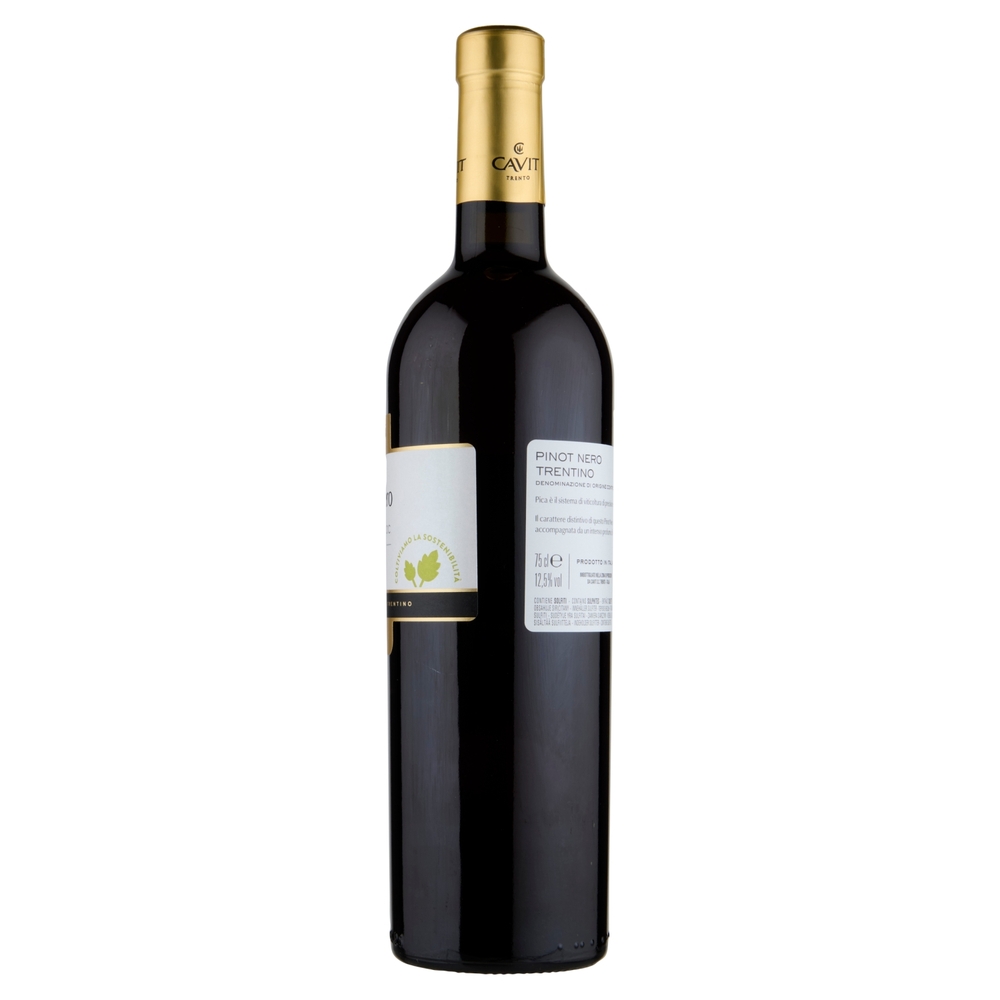 Cavit i Mastri Vernacoli Pinot Nero Trentino DOC 75 cl