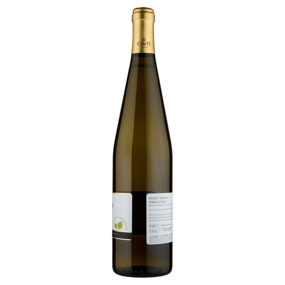 Cavit i Mastri Vernacoli Pinot Grigio Trentino DOC 75 cl