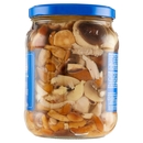 Neri Misto Funghi 750 g
