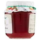 Vis Natura golosa Confettura Extra Fragole 400 g
