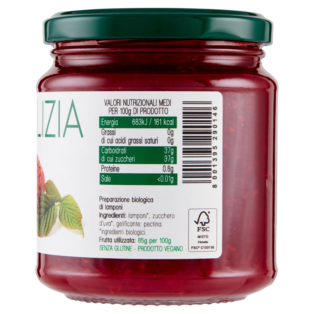 Vis Biodelizia Lamponi 330 g