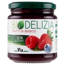 Vis Biodelizia Frutti di Bosco 330 g