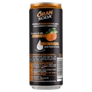 Oransoda 33 cl