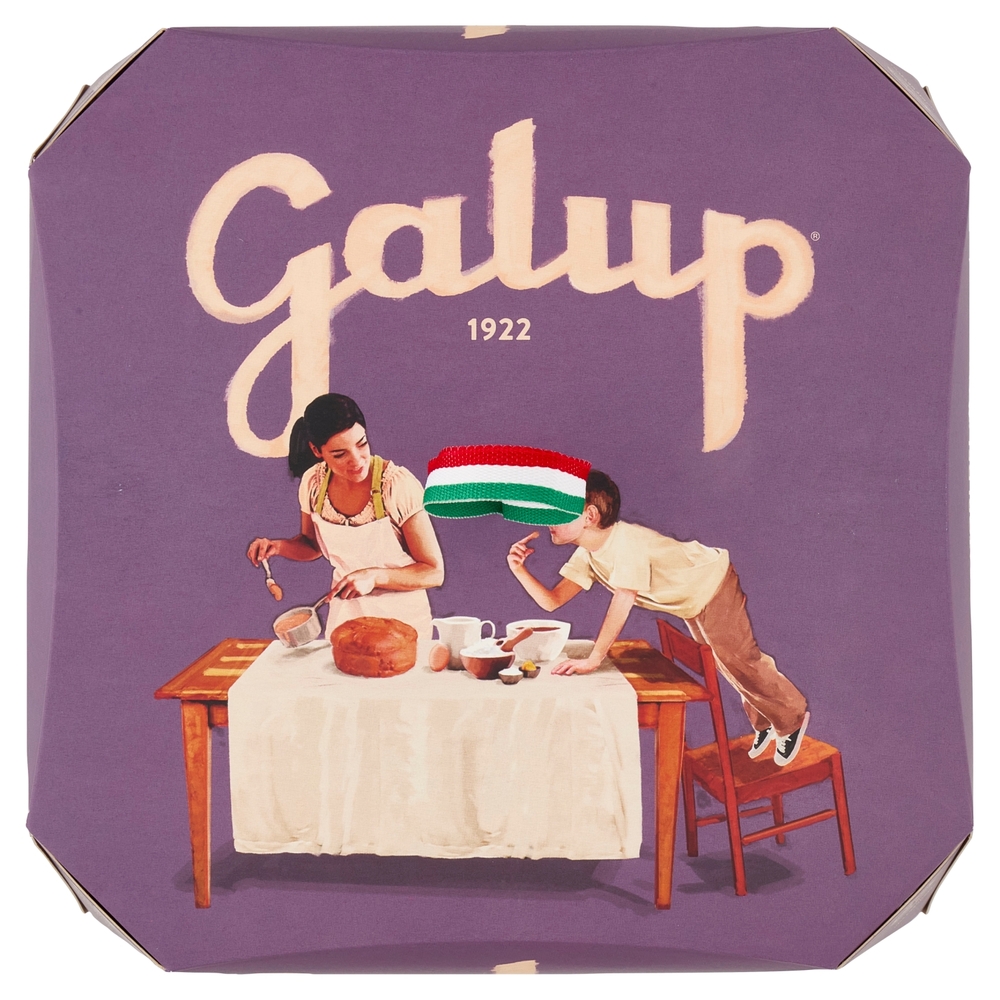 Galup Fichi e Cioccolato 750 g