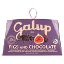 Galup Fichi e Cioccolato 750 g