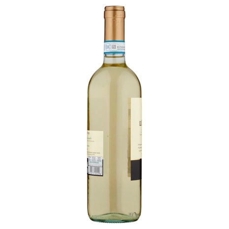Il Castero Monferrato DOC Bianco 75 cl