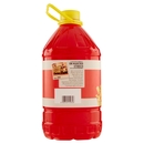 Zeta per Friggere 5 L