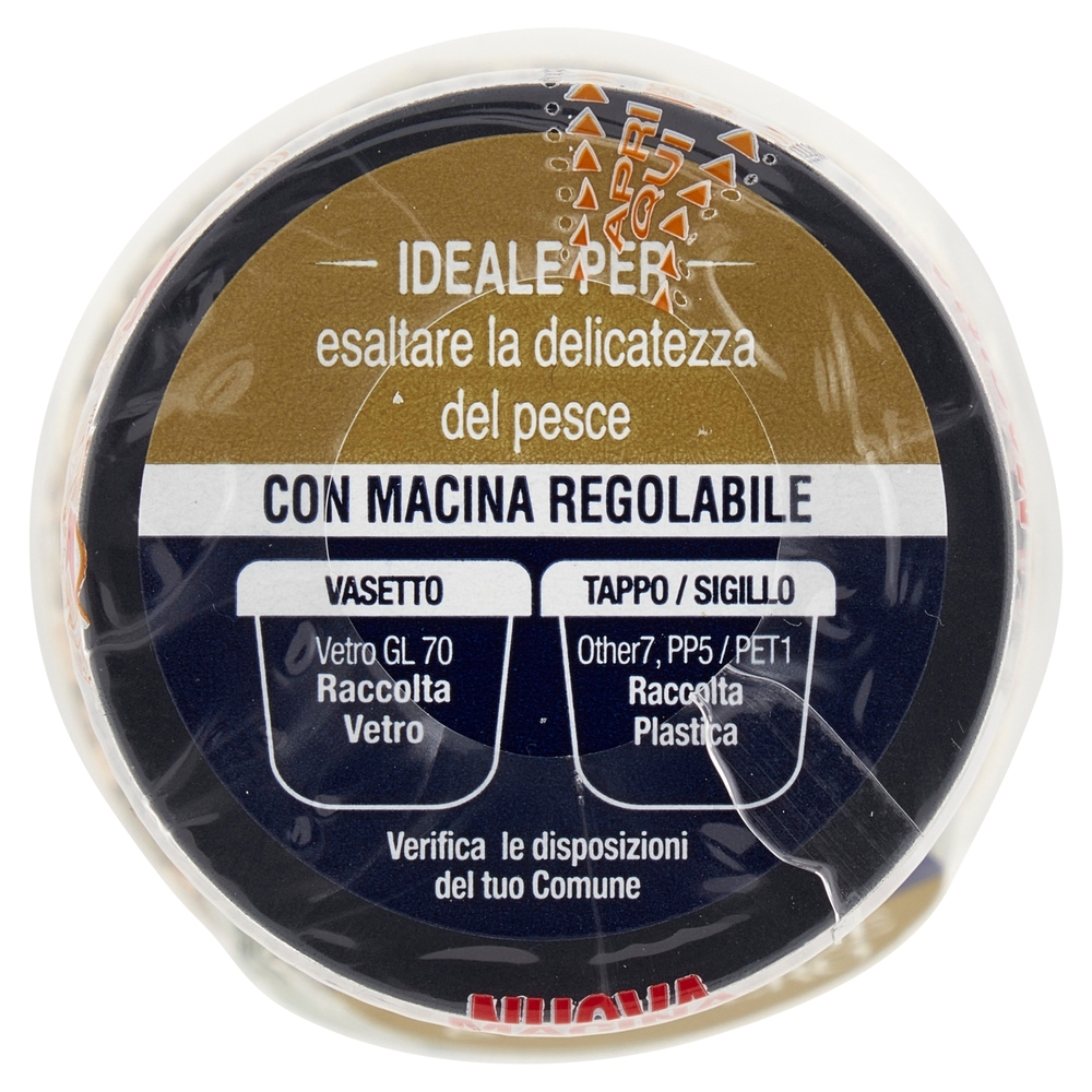 La Drogheria 1880 Sapori Creativi Pepe Verde & Zenzero 36 g