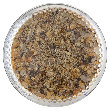 La Drogheria 1880 BBQ Chicken & Turkey supreme con Scorza di Limone e Pepe Nero 100 g