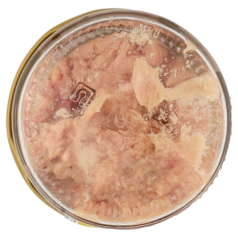 Angelo Parodi Filetti di Tonno al Naturale 150 g