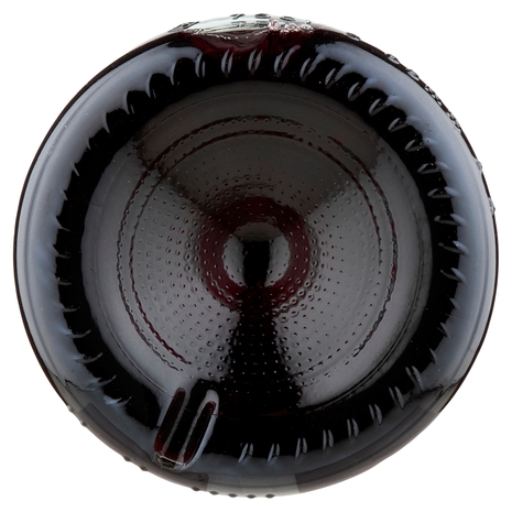 Fichimori il Vino Rosso Freddo Salento I.G.T. 750 ml