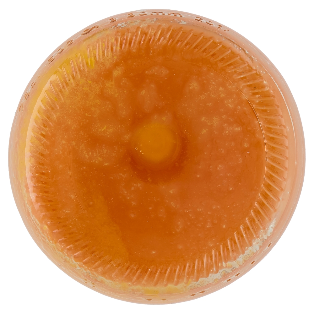 Mela, Arancia, Carota, Limone e Zenzero Il Viaggiator Goloso