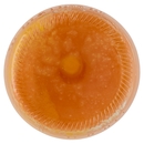 Mela, Arancia, Carota, Limone e Zenzero Il Viaggiator Goloso