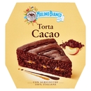 Mulino Bianco Torta Cacao con Albicocche 100% Italiane 590g