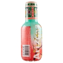 AriZona Green Tea with Honey & Peach 500 ml