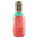 AriZona Green Tea with Honey & Peach 500 ml