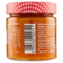 Le Conserve della Nonna Albicocca Curcuma 210 g