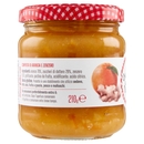 Le Conserve della Nonna Arancia e Zenzero 210 g