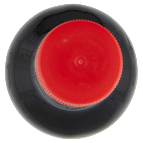 Kikkoman Teriyaki Marinata e Salsa 250 ml