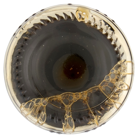 Kikkoman Ponzu Citrus Seasoned Soy Sauce Lemon 150 ml