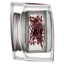 Zafferano in Pistilli Il Viaggiator Goloso