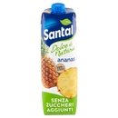 Santàl Dolce di Natura ananas Senza Zuccheri Aggiunti 1000 ml