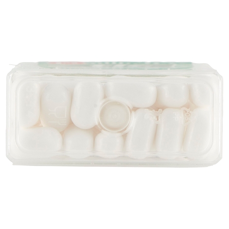 tic tac mint 49 g