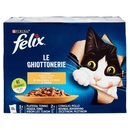 FELIX Le Ghiottonerie le Varietà in Gelatina (Platessa/Tonno & Coniglio/Pollo) 10 x 85 g