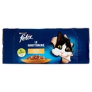 FELIX Le Ghiottonerie le Varietà in Gelatina (Platessa/Tonno & Coniglio/Pollo) 10 x 85 g