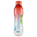 Vitasnella le Linfe Drenante con Linfa di Betulla 500 mL