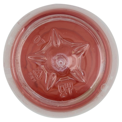 Vitasnella le Linfe Drenante con Linfa di Betulla 500 mL