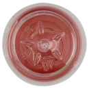 Vitasnella le Linfe Drenante con Linfa di Betulla 500 mL