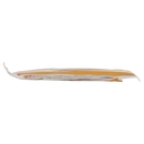 Save Brown Rice Wrappers Cialde di Riso Integrale per Involtini Primavera 200 g