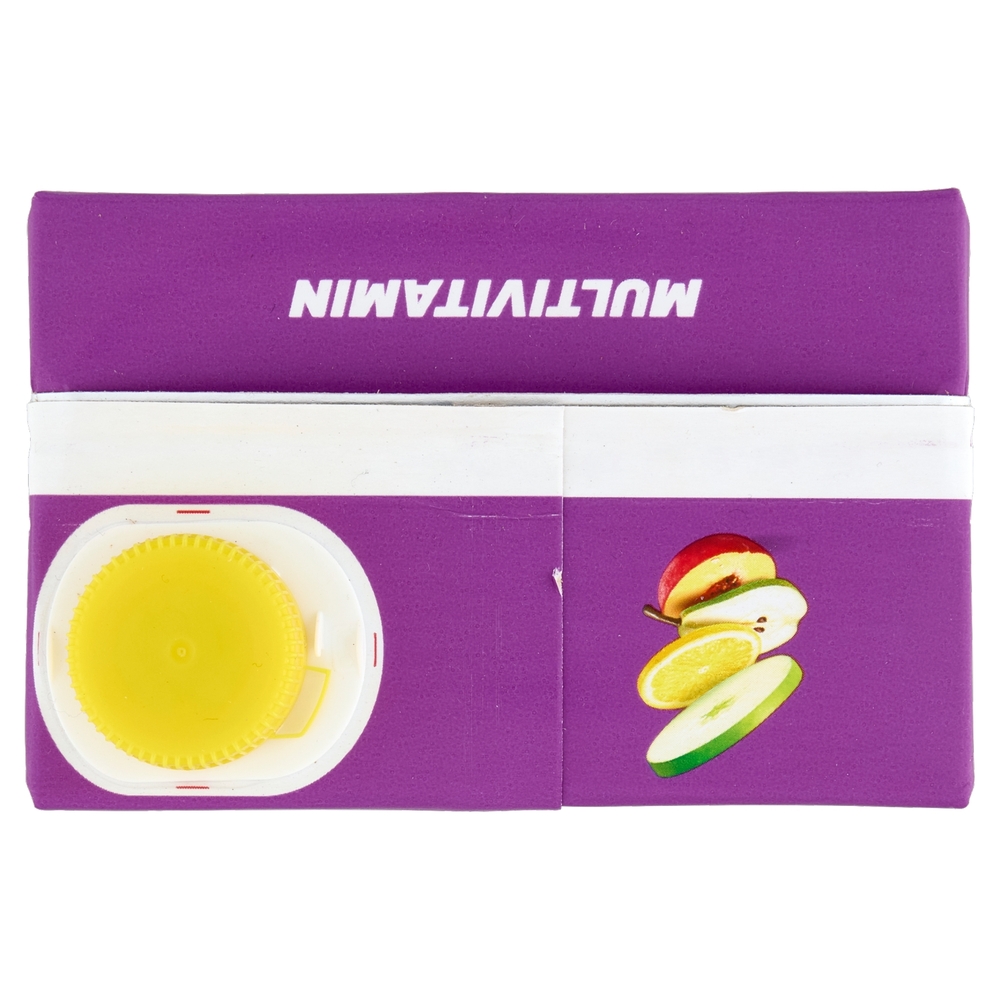 Rauch bravo Multi Vitamin 2 L